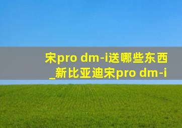 宋pro dm-i送哪些东西_新比亚迪宋pro dm-i